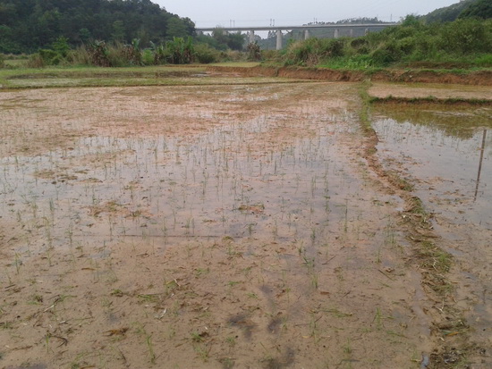 �Ѳ�����ˮ��