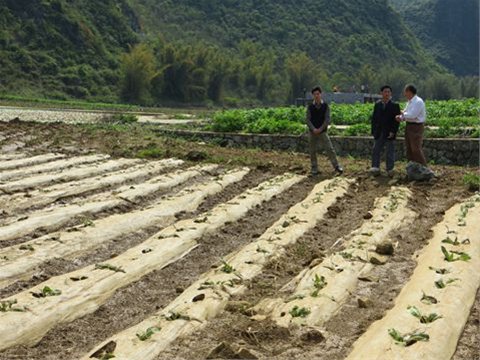 ��������������Ϯ�� ũ������������