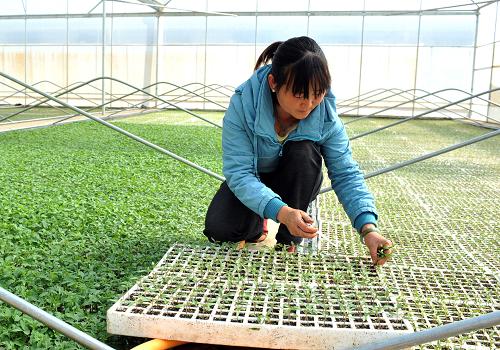 42գƾƷũҵׯ԰ĵũԱΪ̲硣