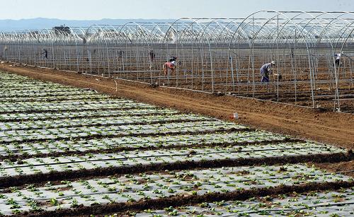 42գƾƷũҵׯ԰ũ߲˴ƽء