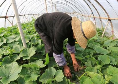 ����̫����С�Ϲ�������