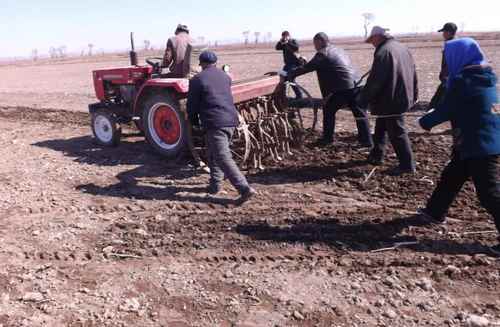 ���ɹţ���ʳ�߲�������Ŀ������ǰ����Ŀ��С���ֹ���˳�����2