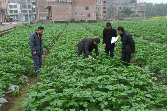 ���쿪���к����һ�족�䡰���족��Ȼ����