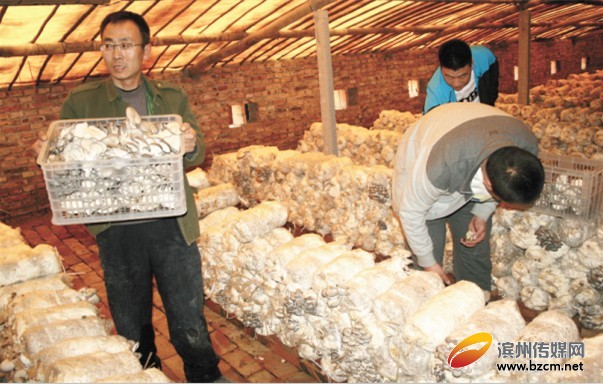 ɽ������أ�Ģ������������ٻ�ũ��