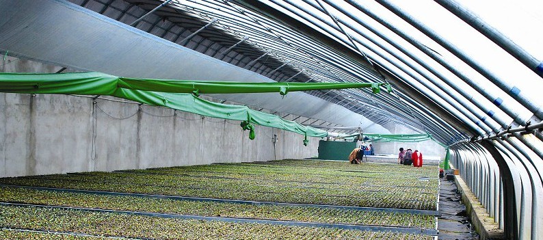 �����������ũҵ���ձ�����ִ������������������