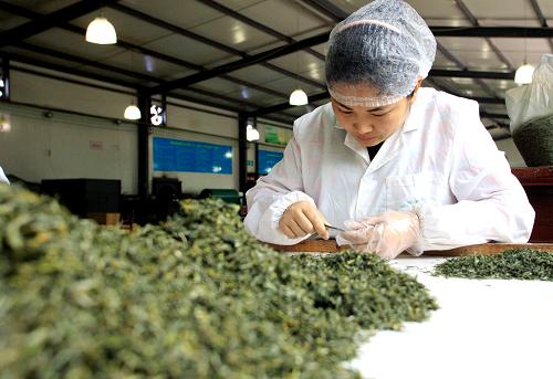 43գʡزҵ޹˾ĹԱڷּҶ