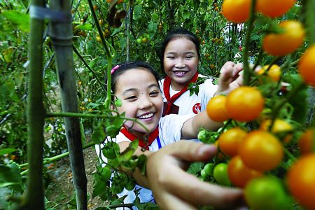重庆潼南打造我市首个蔬菜景区