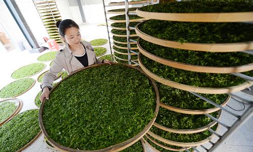 43գϲ̫ƽҶزũժҶ̯ദ