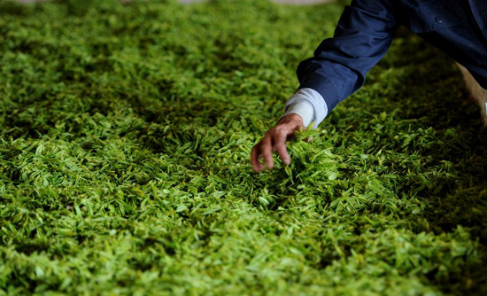 4��2�գ���Ǯ����ͥũ���Ʋ賧��������Ա��ɸѡ��Ҷ