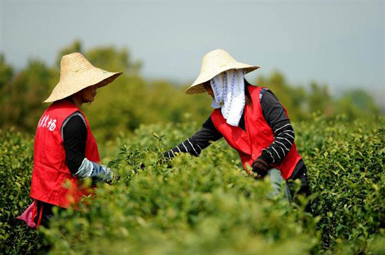 ������Ϫ�أ���ƽ�񡱲�������