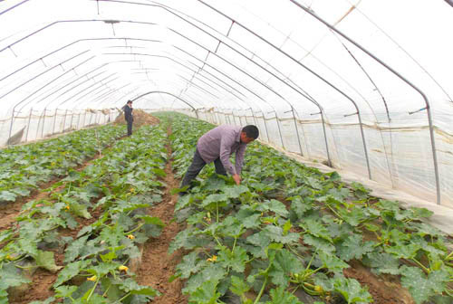 河南商丘:大手笔描绘发展新蓝图