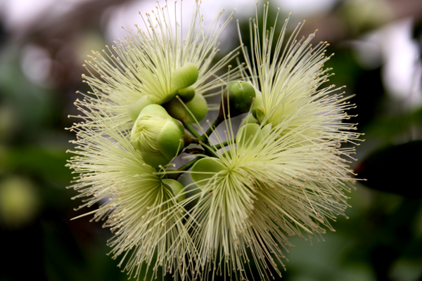 �ຣ���ũҵʾ��԰���Ϸ�ˮ������