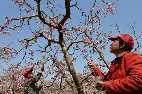 �ӱ�����ũ�ڷ�æ