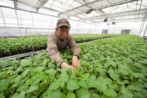 ɽܻڣһũԱڼѡ磨43㣩