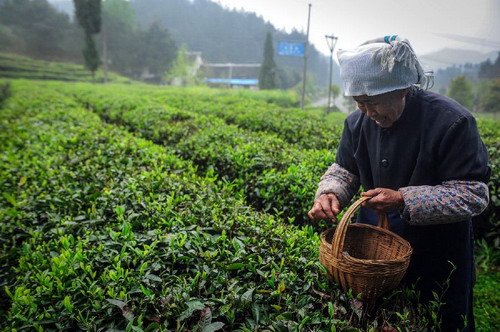 45գȺڹݻˮһ賡ڲժ²衣