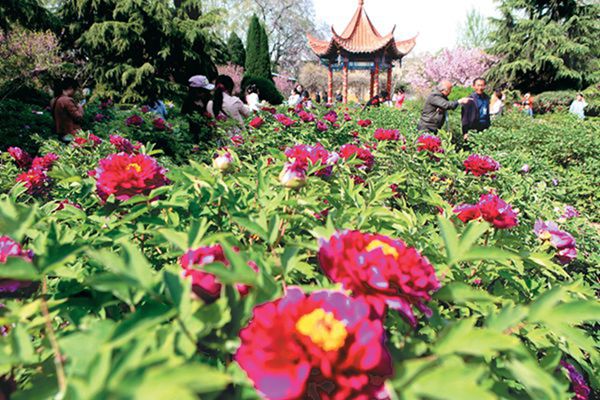 ���գ�����ĵ��������