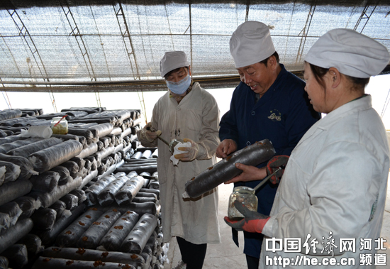 �ӱ�ƽȪ��ϣ�ţ���ҵ�ڷ�·�ϵġ������ߡ�