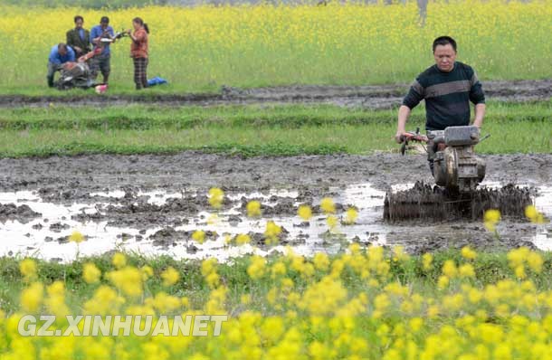 46գڹйɽ̴壬ũñЯʽũ