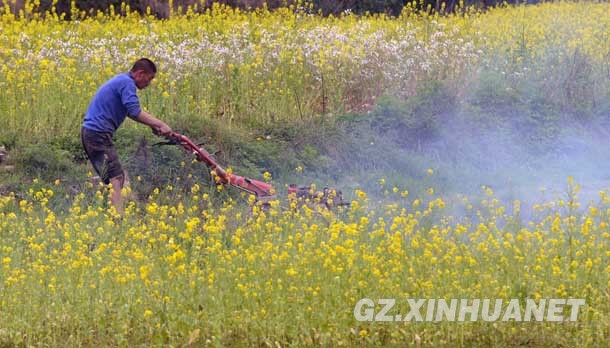 46գڹйɽ̴壬ũñЯʽũ