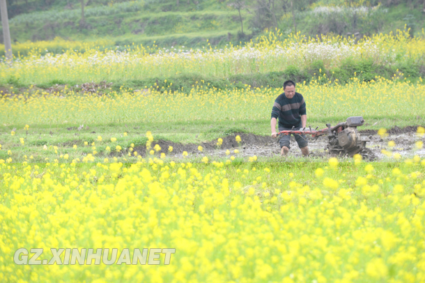 46գڹйɽ̴壬ũñЯʽũ