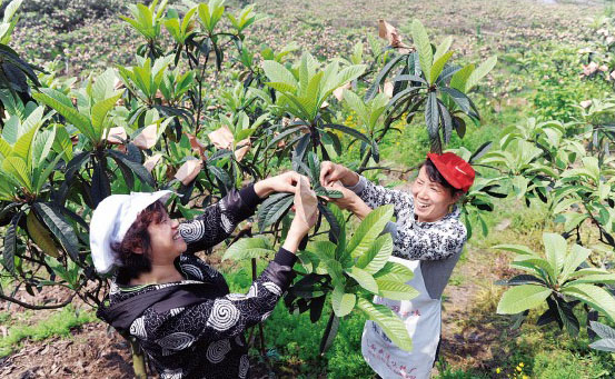 �����ϰ��������������׹��������ס� Ԥ��5����Ѯ����