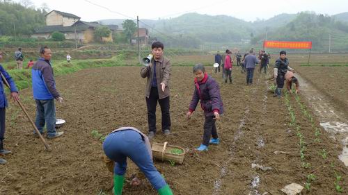 �Կڰ�����첿����ʾ����Ŀ ������ũ����վר�Ҹ���������չ�󶹸߲����༼����ѵ