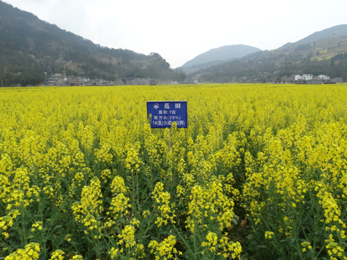 ���죺ũ���� ������� ����Ͳ˲����䷽ʩ�ʼ���ˮƽ