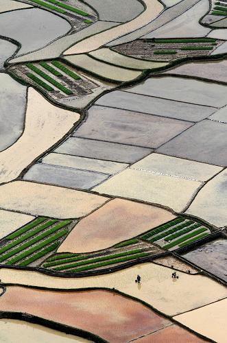 4��7�գ������ӳ��ж�������׭��ũ�����������