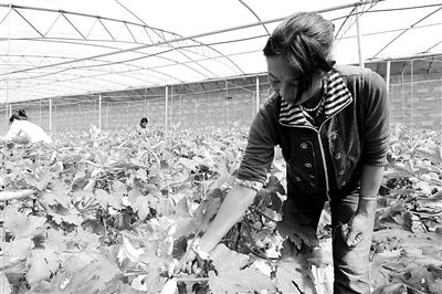 ���ء������ӡ����̲�ǣ�������ͷ�����ղ���