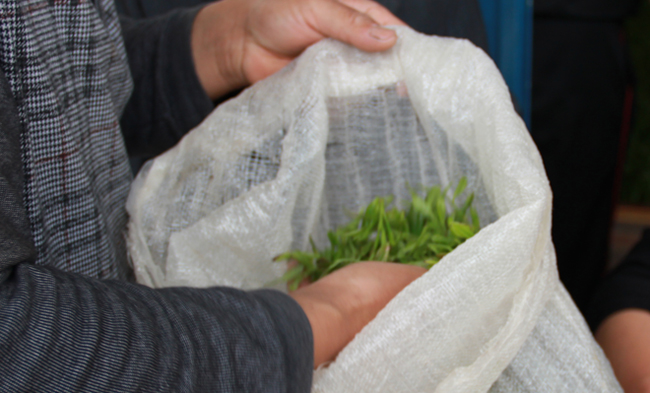 �ܱ�ũ���������������۸ող�ժ����Ҷ