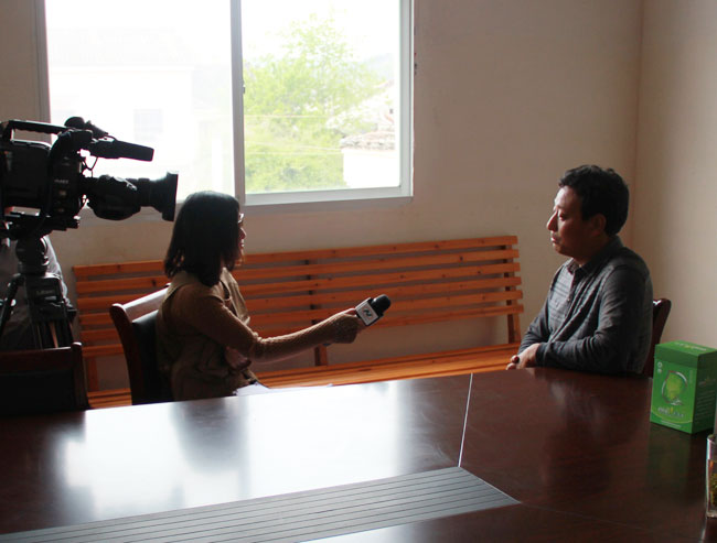 �����縺���˽��ܲɷ�