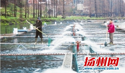 ���ո���ˮ������10Ԫ3��û��Ҫ �������ġ�Ե������