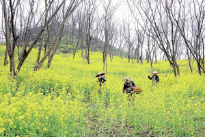 �㽭�ٰ���ɽ���������ˡ����ھӡ�