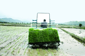 �㽭�����齭��ȫ�����絾��������