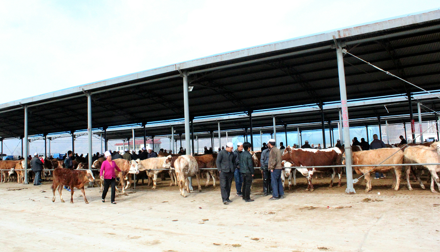 �½�������514��������������ţ��������չ�����ʽ�88��Ԫ