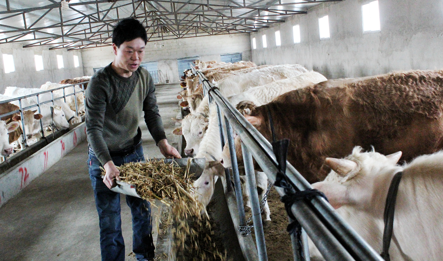 �½�������514��������������ţ��������չ�����ʽ�88��Ԫ2