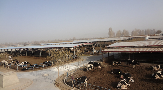 ģչɫֲ ȫ׳ģֳ Чٽũ ȫƶ÷չ2