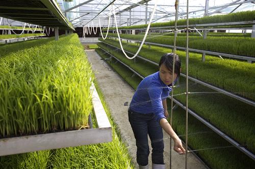 48գ̰˫ϪˮڣԱڼԶι豸