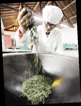 һЩׯڵǰֳĲס˲ĽŲ