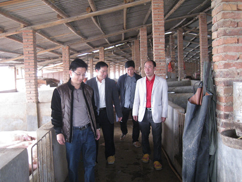 福建宁化:驻乡巡村 指导规模养殖