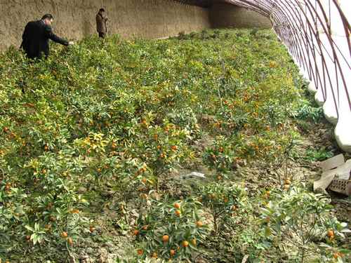 ���ɹź������췢չ������ʩũҵ԰