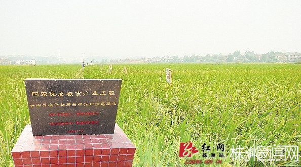 优质粮食产业工程示范基地