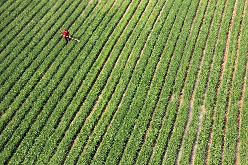 �����ڻ��أ��������������