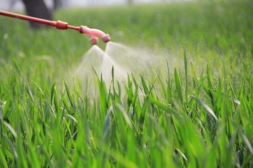 4��9�գ�����ʡ�ڻ��ز�ׯ��ũ������������ũҩ��