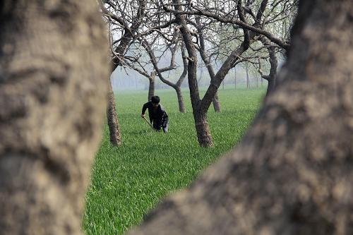 4��9�գ�����ʡ�ڻ��ز�ׯ��ũ�������ｽˮ��