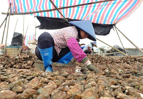 2013年广西钦州海洋经济生产总值突破270亿元