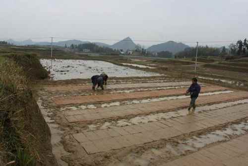 ��������д�����Ԫ��˫�������������ݱ