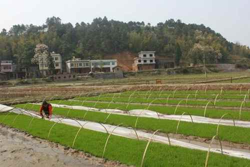 ͼΪ��������ʱ����ʱ��Ĥ����