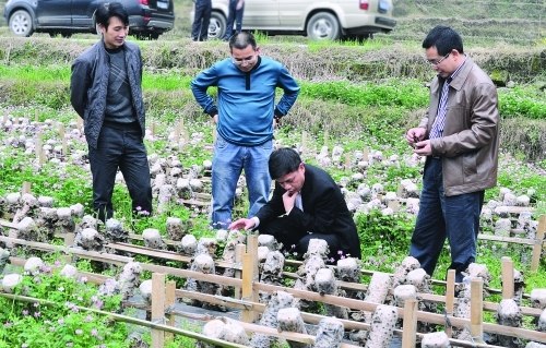 ������ʤ���¡����ݡ����� ʵ�־�����̬˫Ӯ