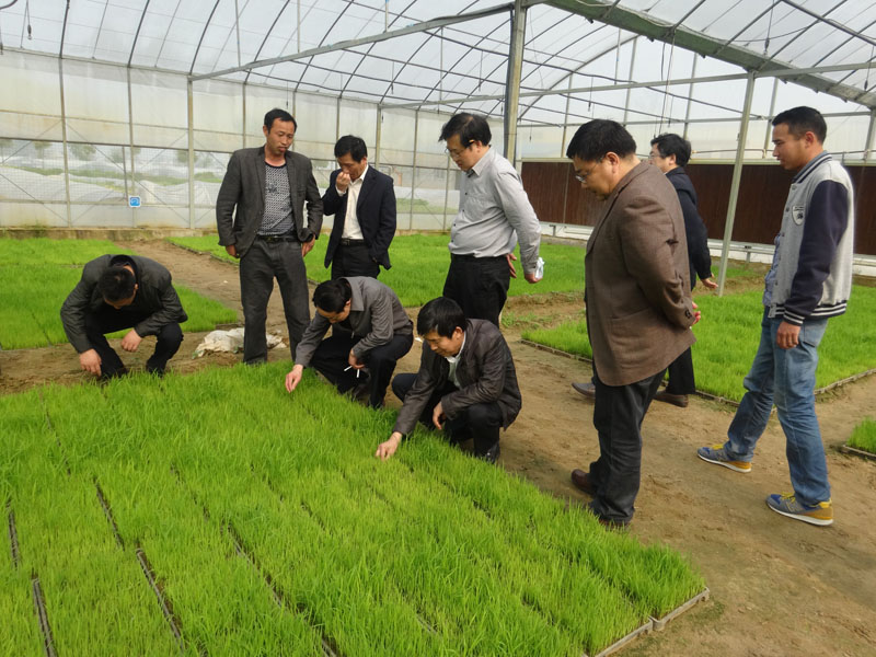 ���ջ����أ�ũ��ũ���ں� �ٽ�ũҵ��չ